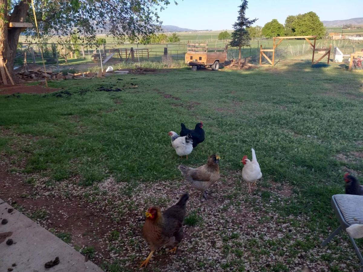 Red Creek Inn And Farm Parowan Dış mekan fotoğraf