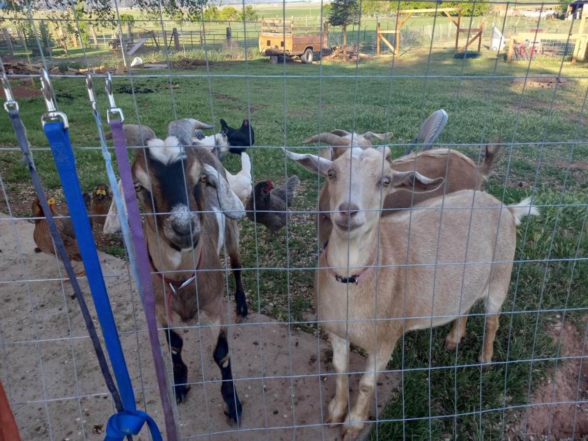 Red Creek Inn And Farm Parowan Dış mekan fotoğraf
